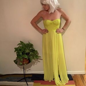 Long chartreuse green dress fitted bodice pleats